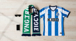 Erzgebirge Aue – Schalke