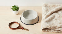 Best Gifts For A Dog Owner