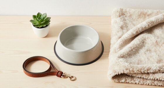 Best Gifts For A Dog Owner